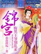 锦宫：腹黑王爷别乱来